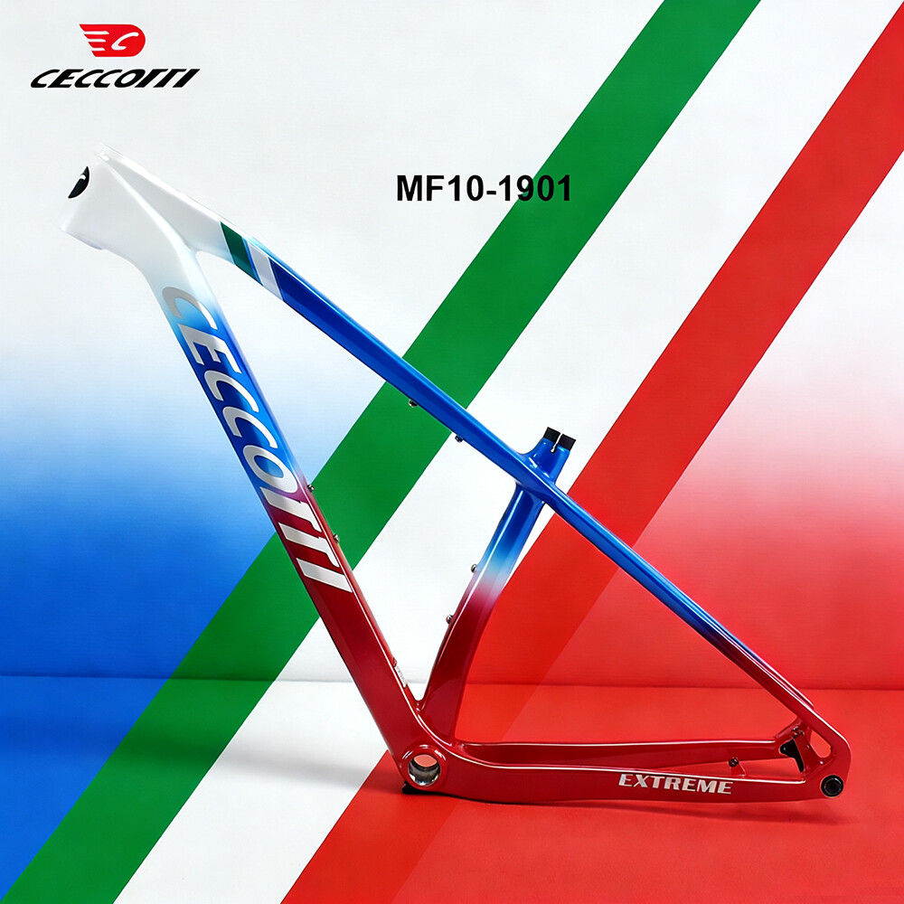 Carbon Mountain Bike Frame 29Er Boost - إطار دراجة جبلية من الكربون الكامل