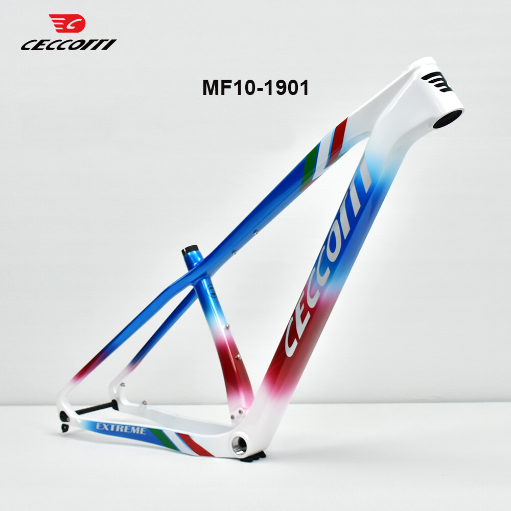 إطار دراجة جبلية CECCOTTI 2026 - مراجعة Carbon Mountain Bike Frame 29Er Boost وسعره