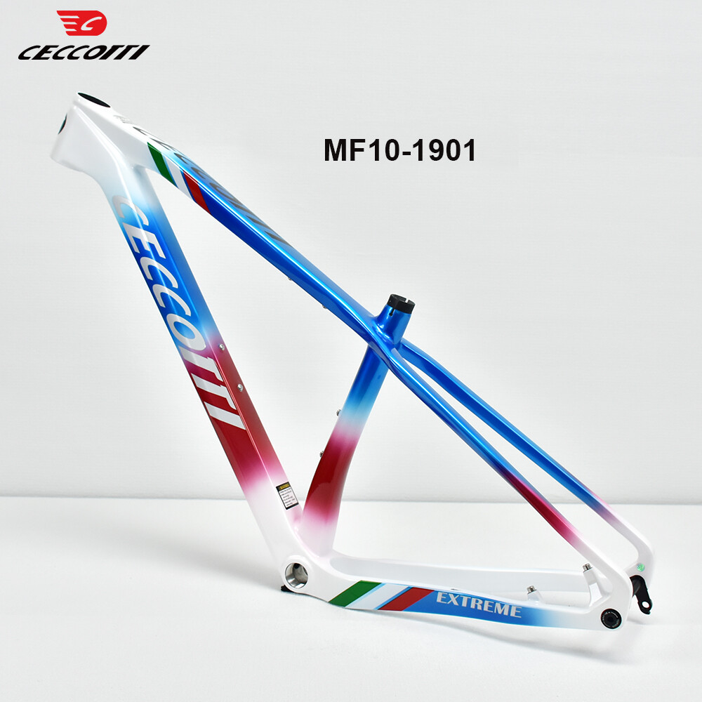 إطار دراجة جبلية CECCOTTI 2026 - مراجعة Carbon Mountain Bike Frame 29Er Boost وسعره